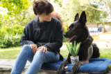 Building a Strong Bond with Your Pet: Communication, Trust, and Quality Time